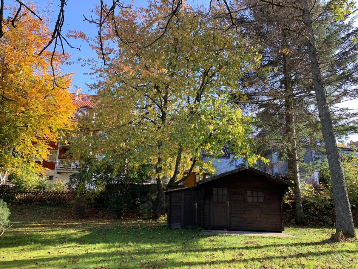 Chalet Bergzeit Lejlighed Braunlage Eksteriør billede